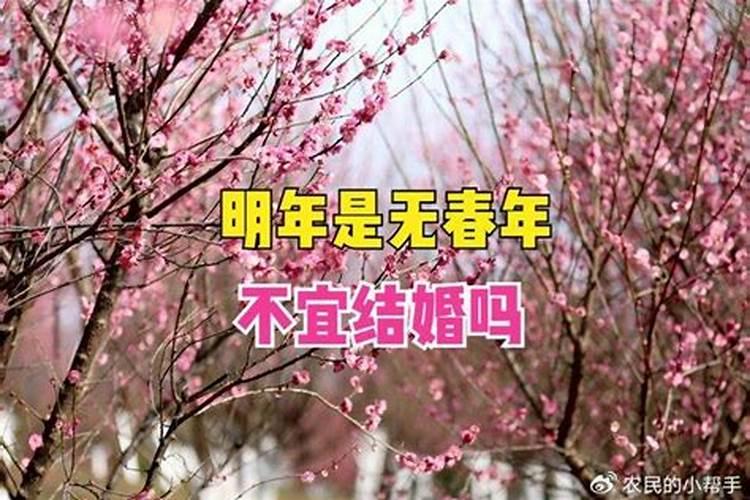 算命说今年不结婚就要等4年