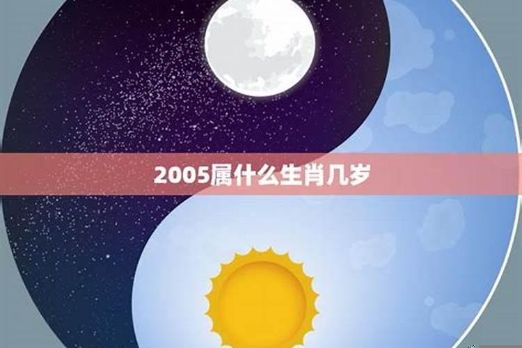 2005出生属什么命