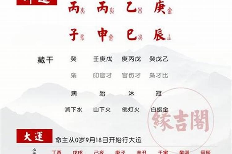 八字中癸已日柱