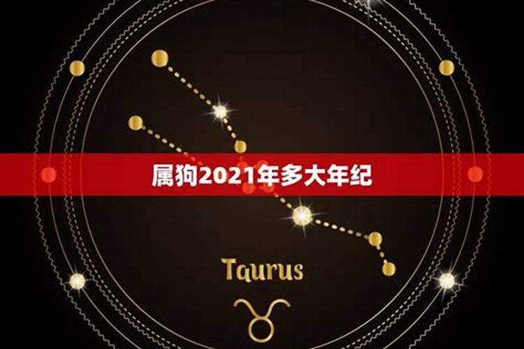 属狗2021年很倒霉