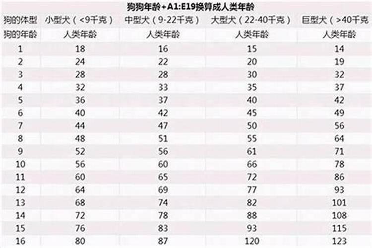 属狗的年龄表2021虚岁