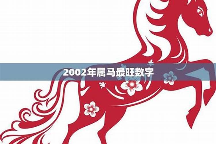 属马2002年出生今年运势怎么样