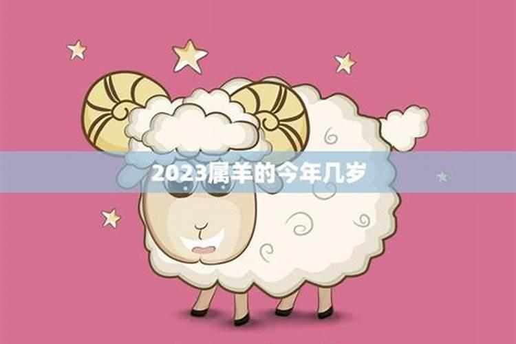 2023年属羊的人今年多大了啊男孩