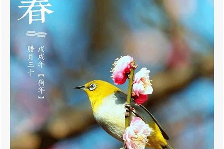 今日立春几点交节2021年