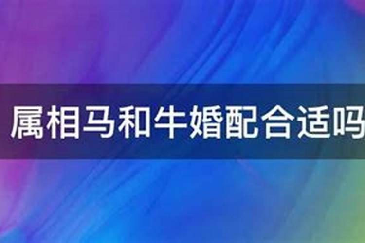 属牛本命年讲究什么属相