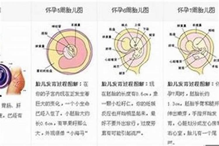 父亲去世了佛教做法事