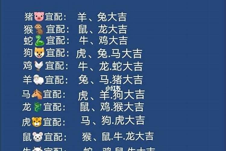 生辰八字命理分析