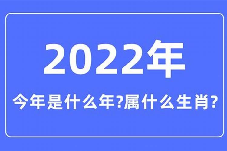 今年是什么年2021年属什么年