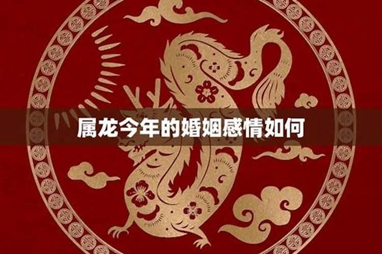 属龙男今年运势怎么样76