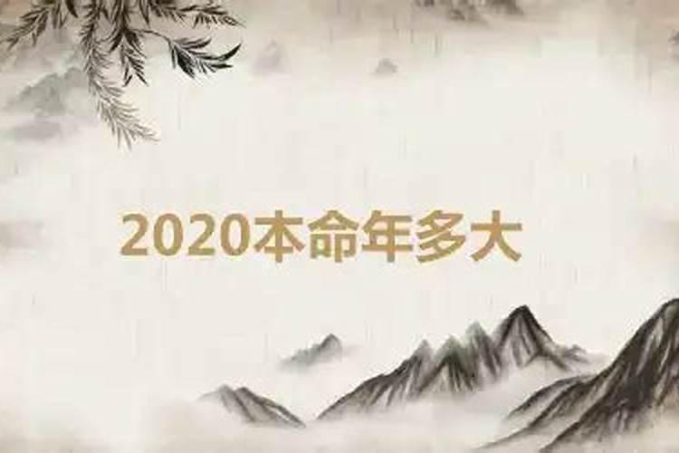 2020本命年是多大