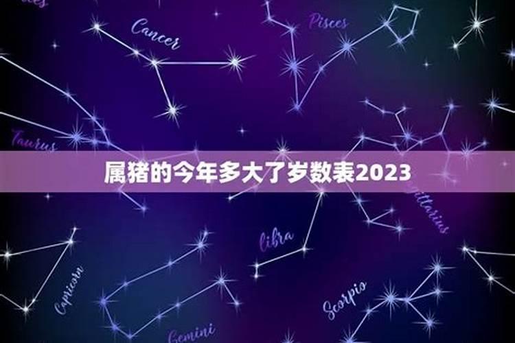 属猪今年多大年龄2021年