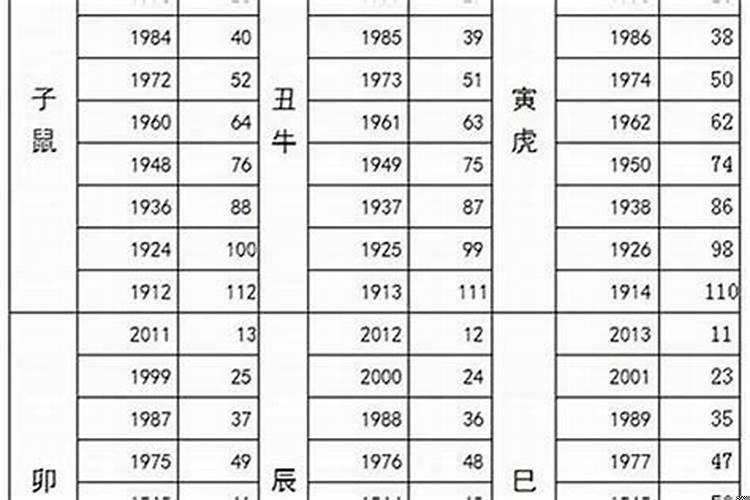 属猪今年几岁了2022年8月份