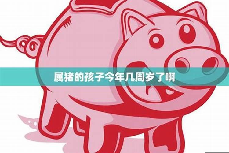 属猪今年几岁了2022年8月份运势