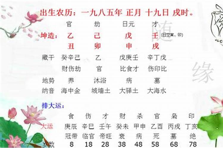 八字财运什么时候发