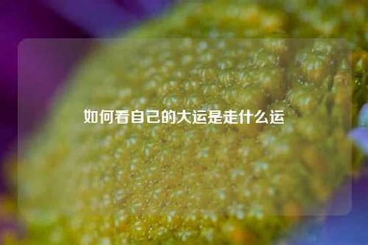 三月吉日搬家好不好呀