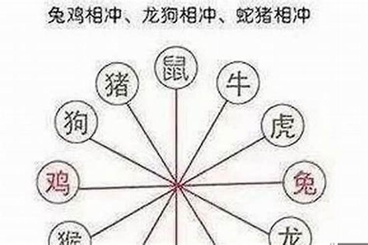 属虎的相冲的属相是什么意思啊