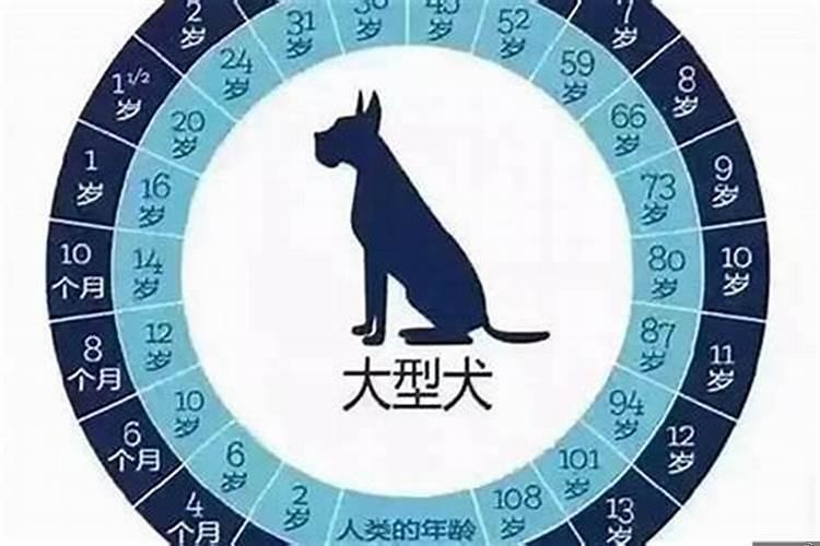 2023属狗多大