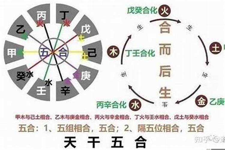 属鸡的今年犯太岁吗?2020