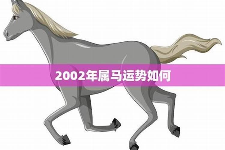 2002年属马2022年运程