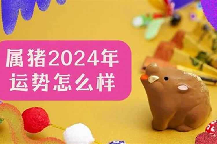 今年属猪的运气如何2020年出生