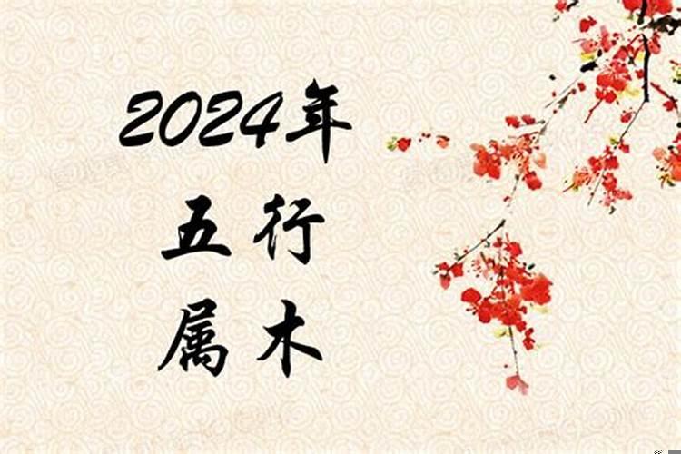 2024年是五行属什么