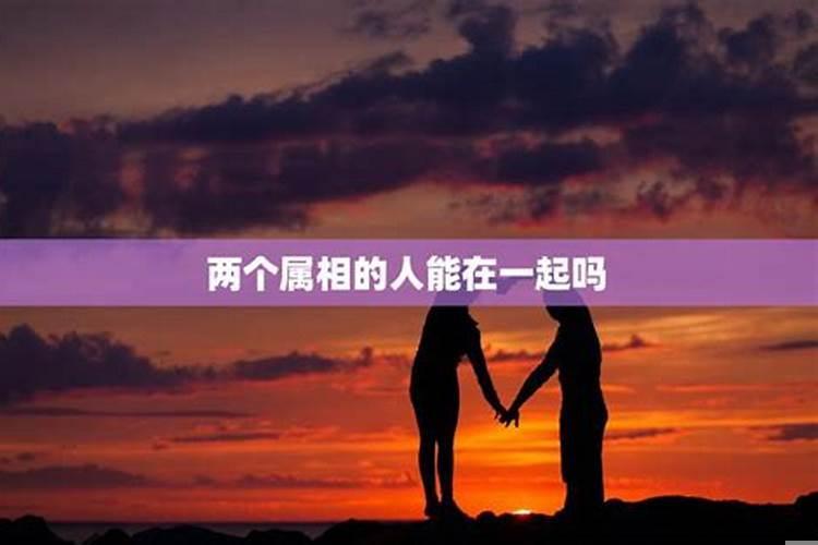 两个属相相克能结婚吗女