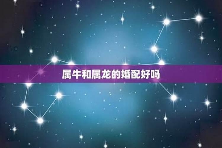 妇联婚姻家庭纠纷排查化解工作总结报告怎么写