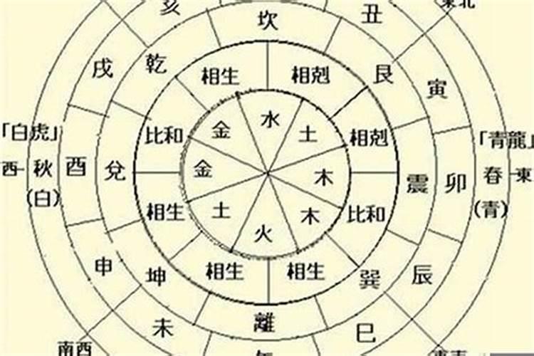 怎么看八字四柱地支