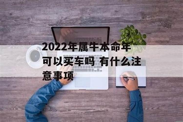 2022属虎男宝宝名字大全