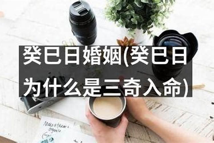 2022年属兔人的运势分析