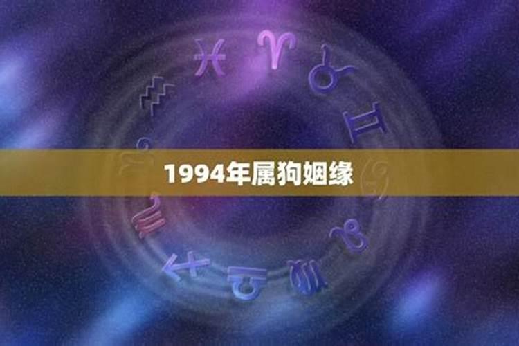 1994年属狗好姻缘