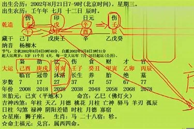 真正的命理大师免费阅读