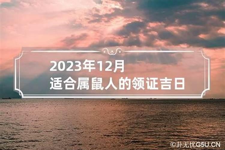 2020年属鼠适合领证的日子