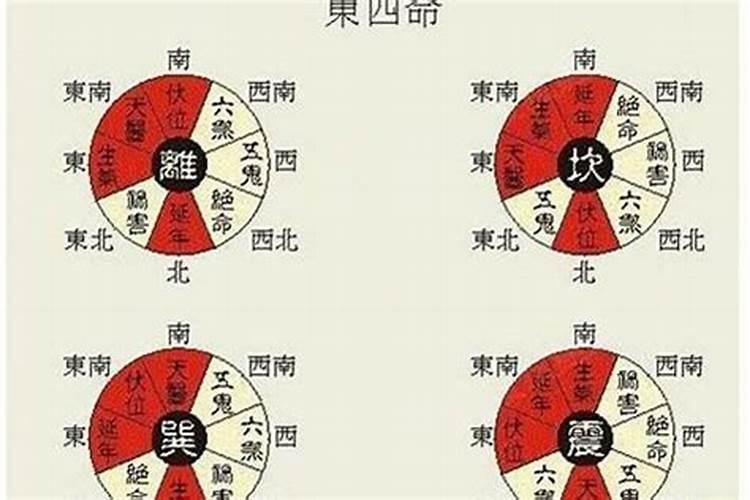 70年属狗51岁后命运男人