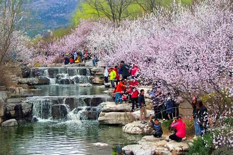 立春适合出去玩吗北京天气预报15天