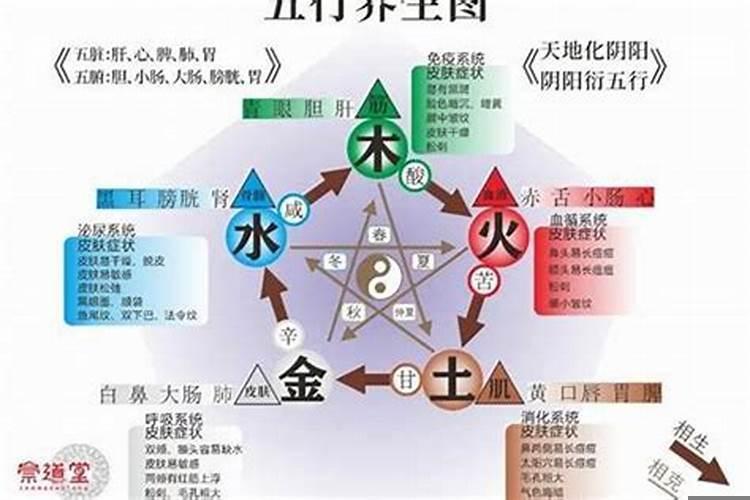 五行金旺缺木怎么办