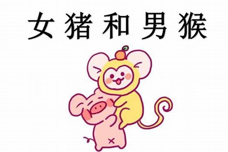 女猴男猪婚姻相配吗在一起会克吗