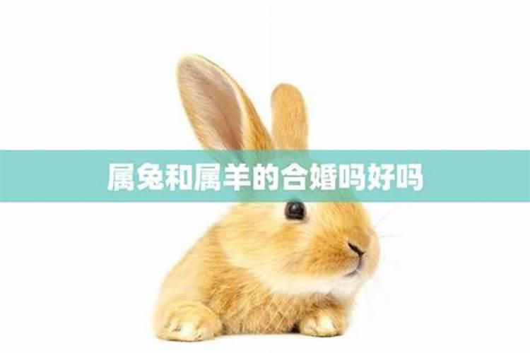 日时辰戌冲婚姻一定不顺吗