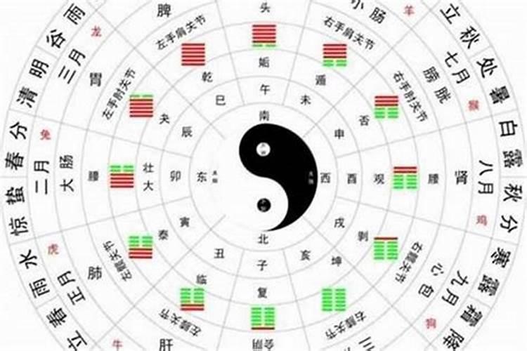 八字算命骗局揭秘视频