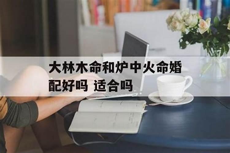 禄合婚姻宫什么意思