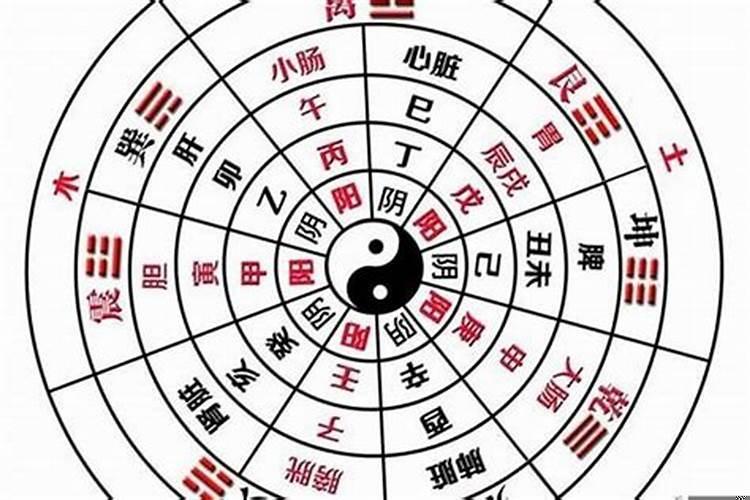 怎么看自己的八字