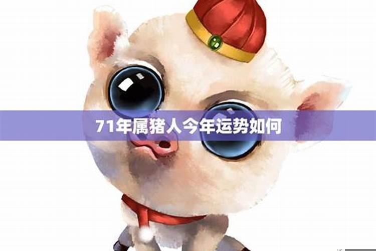 猪今年的感情运势怎么样啊女孩名字叫什么