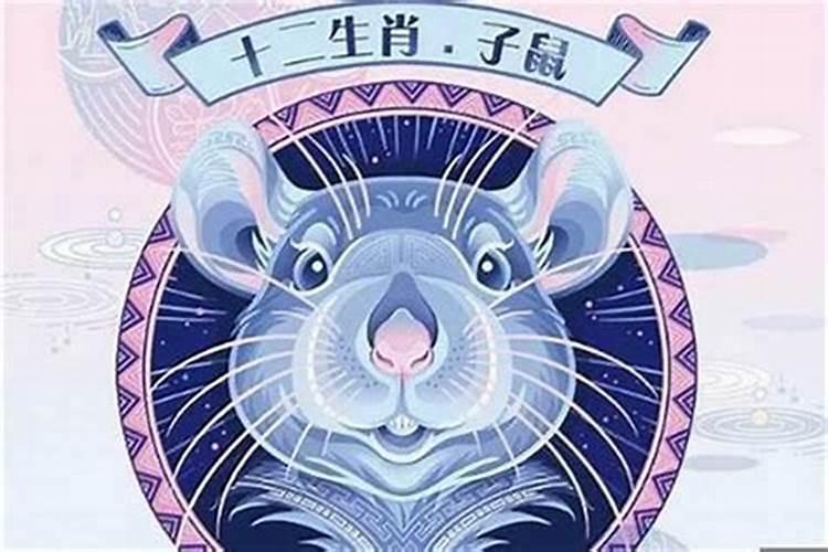 属鼠今年财运方向