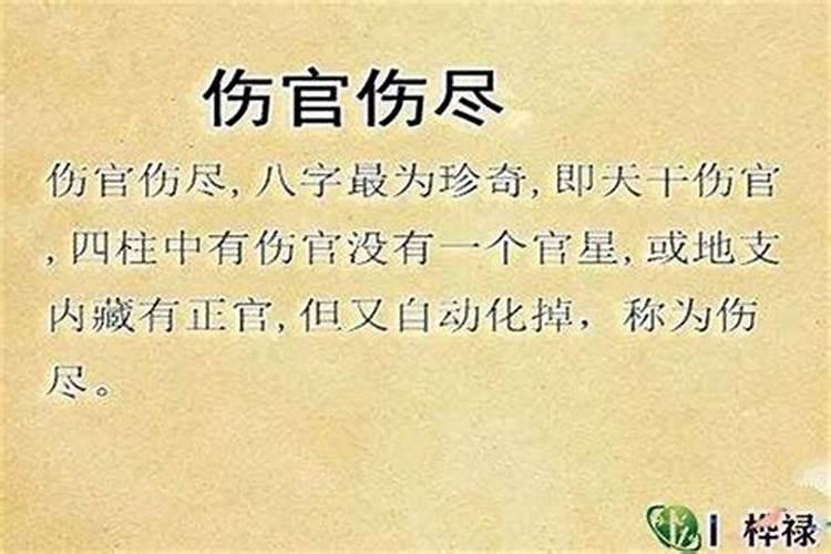 八字算命中伤官是什么意思