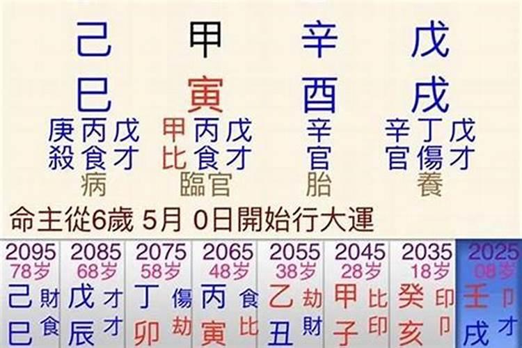 99年兔子的运势如何