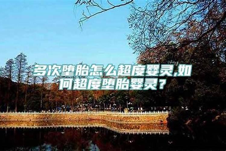 99年兔跟什么属相配最好