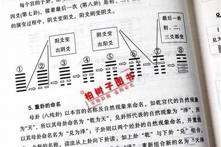 八字如何看兄弟姐妹信息