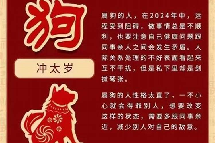 属狗今年犯太岁不