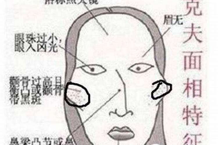 属蛇女和蛇男