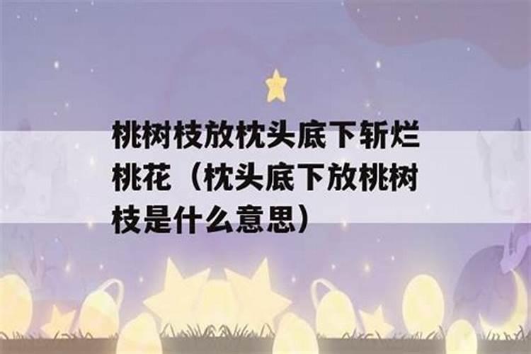 狗与老鼠属相婚配可以吗